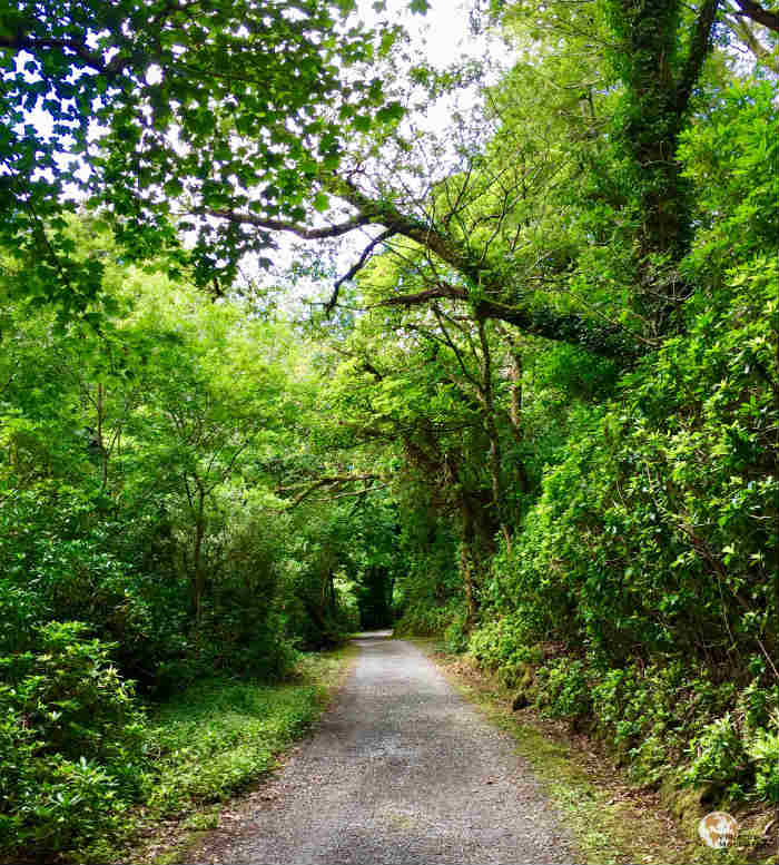 Camino del jardín Victoriano de Kylemore, Connemara